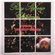 Ray Stevens - Christmas Through A Different Window